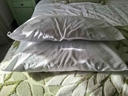 Photo of free 2 Silent Night Pillows (Swadlincote) #1