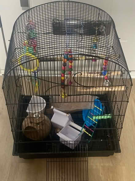 Photo of free Bird cage (Sw16 1TS. Tooting) #1