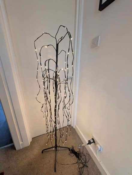 Photo of free light up tree (Wadsley S6) #1