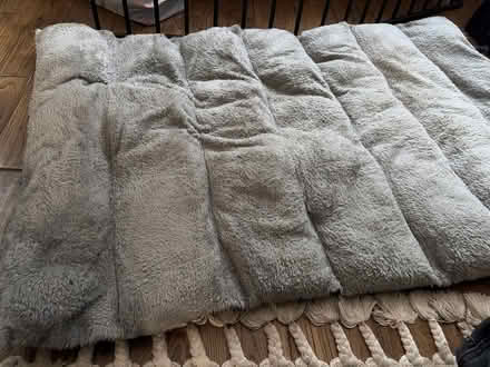Photo of free Used Dog Bed (Walthamstow E17) #2