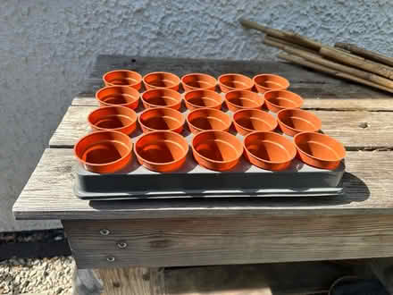 Photo of free Pots and tray for seedlings (Lower Island CT5) #1