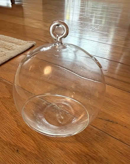 Photo of free Glass plant hanger (Adams Point) #1
