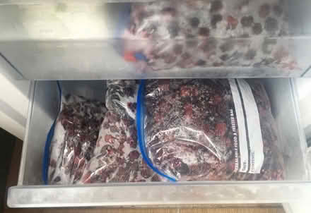 Photo of free Bags of Fresh Organic Blackberries (Liverpool L6) #3