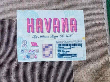 Photo of free Big rug (Se279) #2
