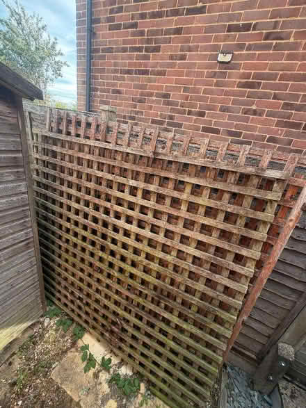 Photo of free Wood Trellis Large x3 (Barkham RG41) #1