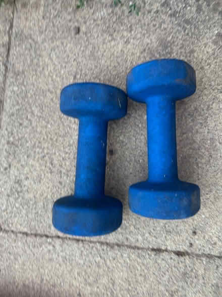 Photo of free 2x blue 5kg arm weights (Paignton Devon) #1