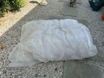 Photo of free Butterfly netting (Lower Island CT5) #1