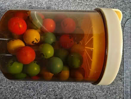 Photo of free Coloured ping-pong balls (Liverpool 25) #1