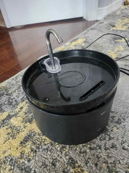Photo of free Cat water fountain plug in (Riverside South) #1