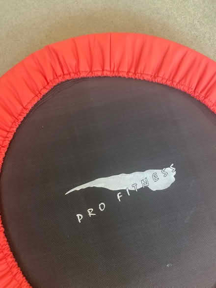 Photo of free Adult trampoline (N12 North Finchley) #3