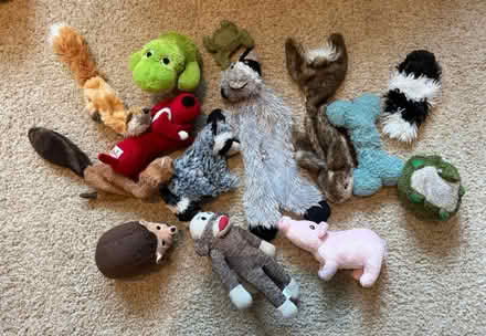 Photo of free Pet Toys (Norbeck and Layhill Roads) #1