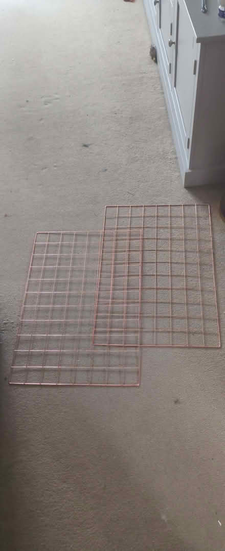 Photo of free Pair of wire pinbkarda (Barnard's Green WR14) #1