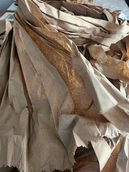 Photo of free Brown paper (Riverside South) #1