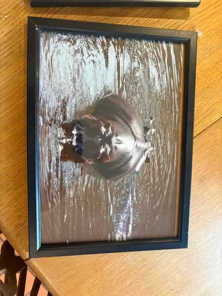 Photo of free 2 picture frames (Baldon Row OX44) #2