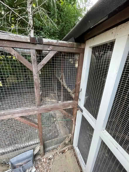 Photo of free Rabbit/Chicken House Panels (Orpington BR6) #4