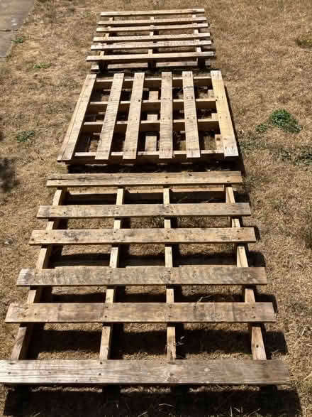 Photo of free Pallets x3 (North wootton PE30) #1