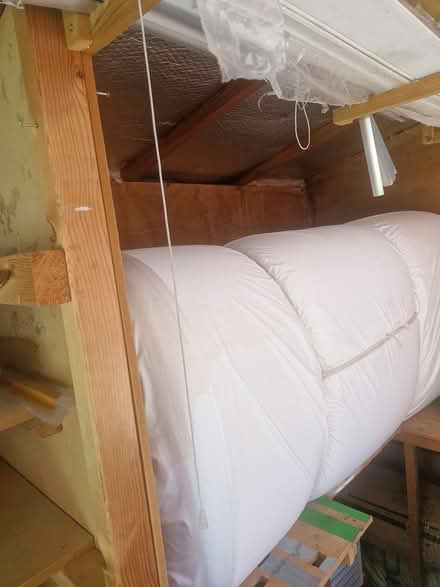 Photo of free Shed (SL3 8NU) #3