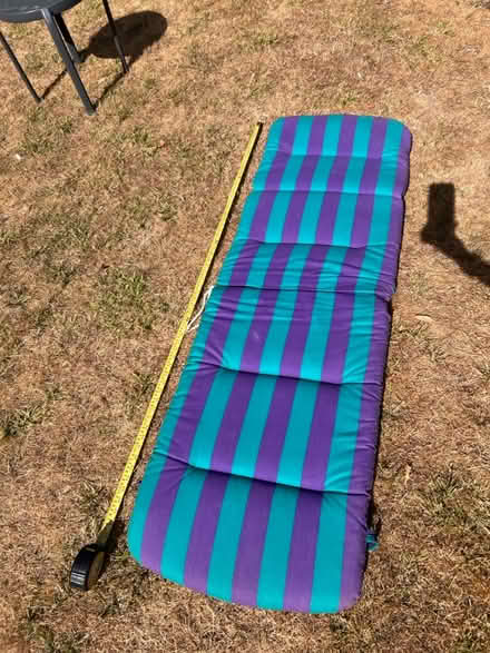Photo of free Cushion for garden lounger (Kennington OX1) #1