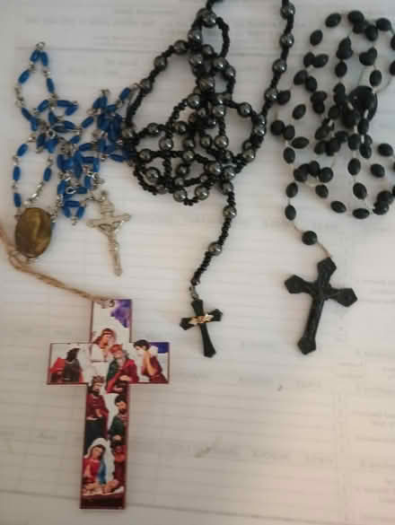 Photo of free Roseries (Grafton WV. 26354) #1