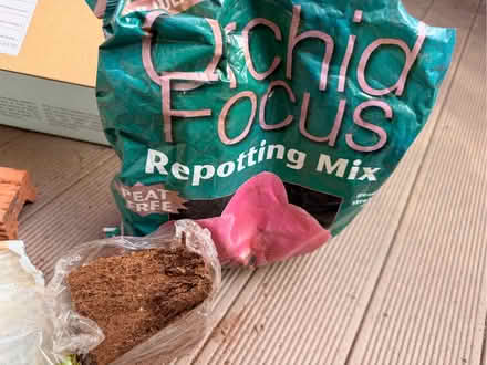 Photo of free Gardening goodies (Highbury N5) #4