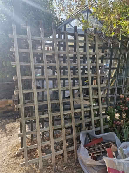 Photo of free Trellis (Great Baddow CM2) #1