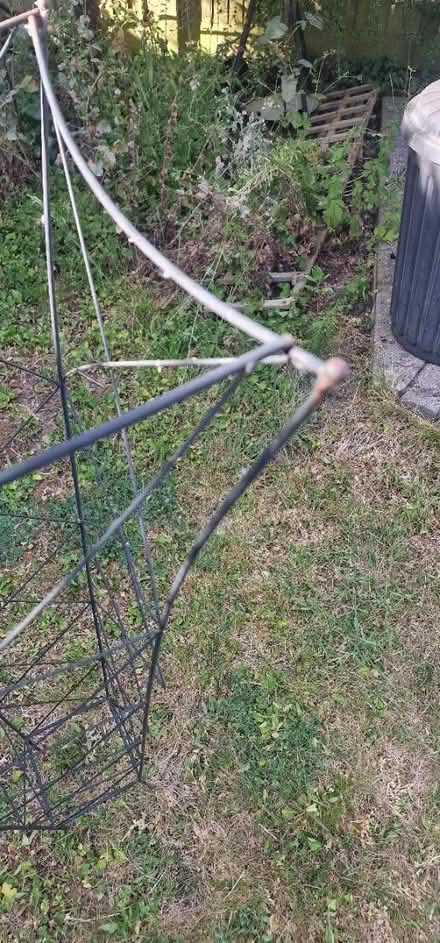 Photo of free Wire Garden Plant supports (Marshalwick AL4) #2