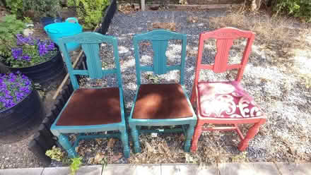 Photo of free Three dining chairs (New Catton NR3) #1