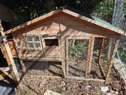 Photo of free Chicken coop (South Norwood, SE25) #1