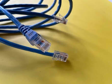 Photo of free Network cables (Bronson & Holmwood) #2