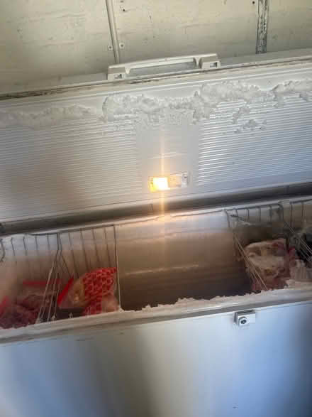 Photo of free Large chest freezer (Spring Barn BN7) #3