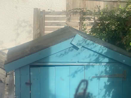 Photo of free Sentry Style Garden Shed (Penarth CF64) #3