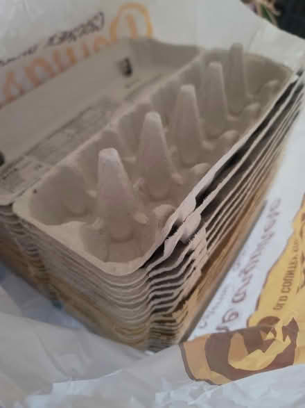 Photo of free Empty egg cartons (Belleville) #1