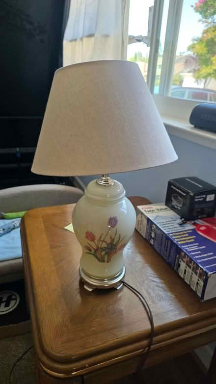 Photo of free Lamp (cupertino near library) #1