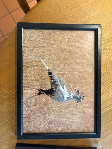 Photo of free 2 picture frames (Baldon Row OX44) #1