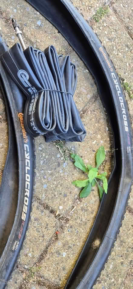 Photo of free Bike tyres and tubes (Wrestlingworth) #4