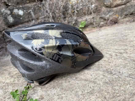 Photo of free Cycle Helmet (Papcastle CA13) #1