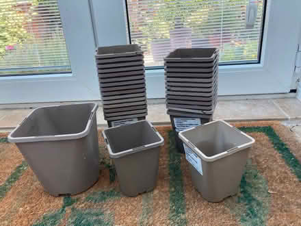 Photo of free 1 x medium and 30 small Plant Pots as per pic (Bexhill TN39) #1