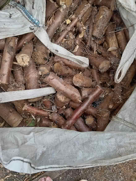 Photo of free Wood suitable for log burner (Cropston) #1