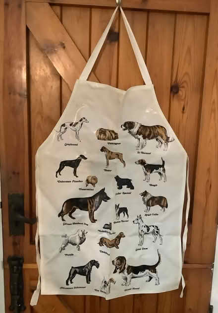Photo of free PVC apron (Greatmoor SK2) #1