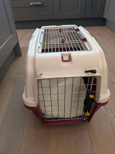 Photo of free Pet carrier (Lady Bay NG2) #1