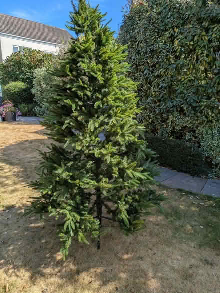 Photo of free Large, good-looking artificial Cnristmas tree (Swanwick DE55) #1