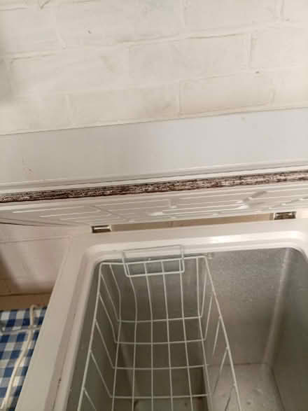 Photo of free Chest Freezer (Biggleswade SG18) #3