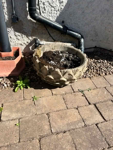 Photo of free Plant pots (Totley - S17) #3