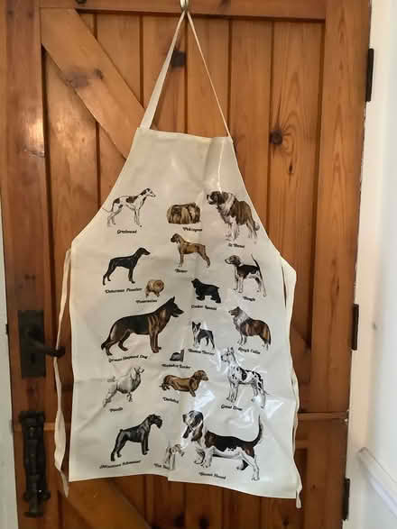 Photo of free PVC apron (Greatmoor SK2) #2