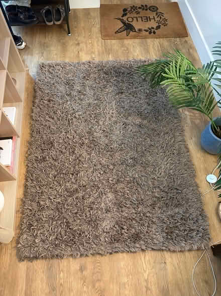 Photo of free Rug (Wimbledon SW19) #2