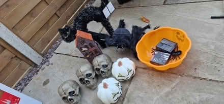 Photo of free Halloween items (Royston SG8) #1