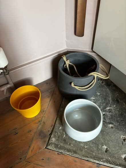 Photo of free Flower / Plant Pots (Walworth SE17) #1