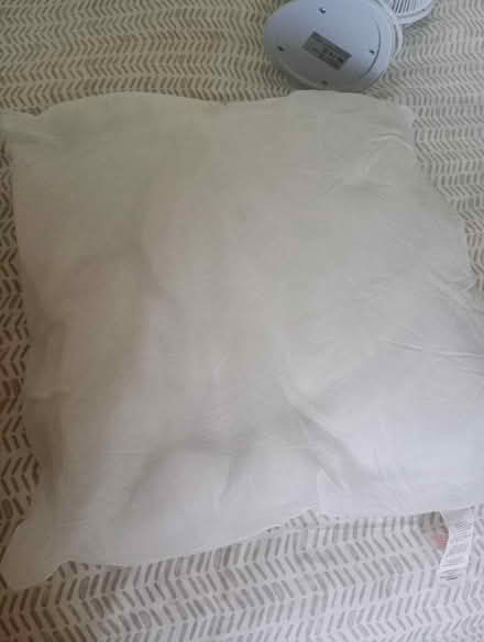 Photo of free Cushion pads (Temple Cowley OX4) #1