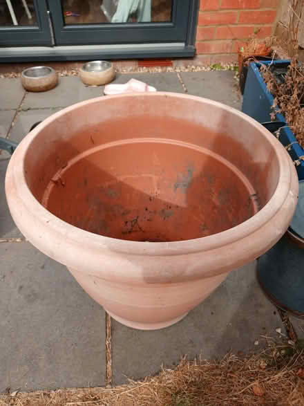 Photo of free Large (50cm diameter) planter (Divinity Road OX4) #1