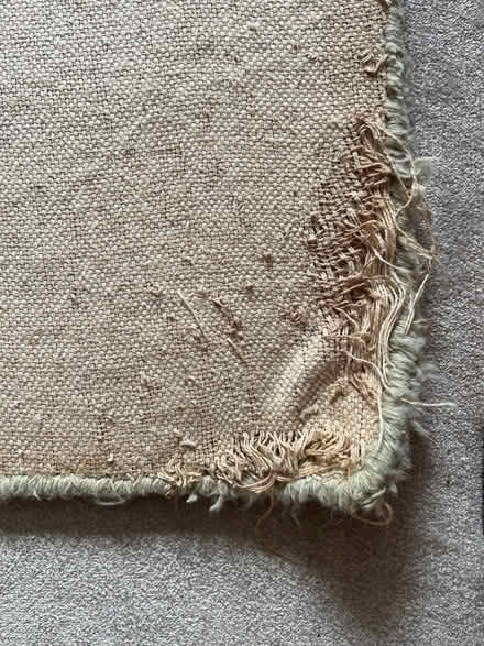 Photo of free Scion Fox Rug (Bear Flat BA2) #4